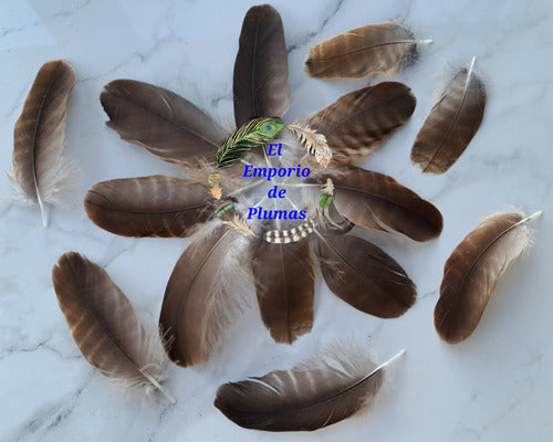 Pack of Black and Light Brown Natural Feathers 1