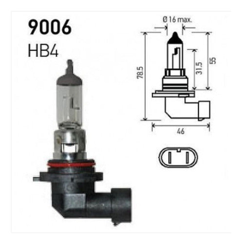 Pack X 10 Lamparas 9006 Hb4 12v 55w Marca Hella Originales 1