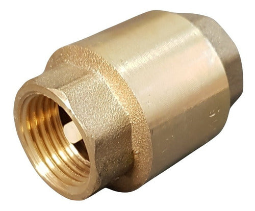 Valforte 1/2 Inch Bronze Check Valve for Water Pumps 0