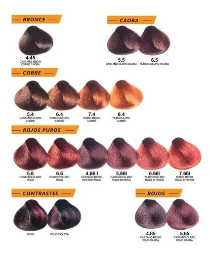 Alfaparf Evolution X Hair Color Kit 3 + Oxidant 3 Coloring 6