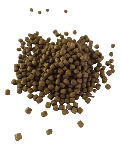 2kg De Alimento Granulado 3mm Y 6 Mm Peces Carpas Koi Cometa 0