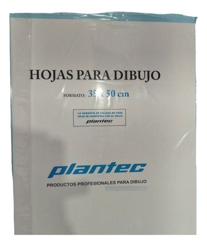 Papel Dibujo Blanco Plantec Ind Argentina 35x50 142gr X10 1