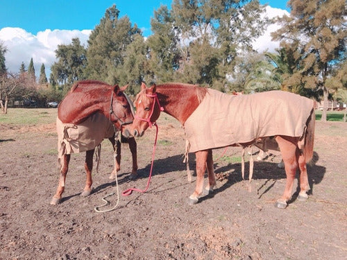 Mantas Para Caballos De Arpillera Doble 0