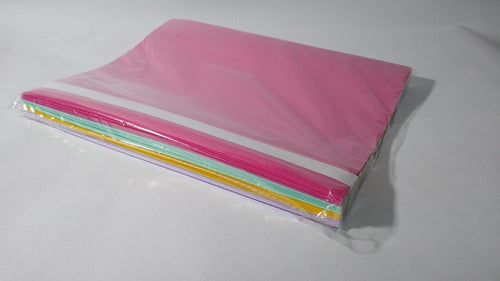 Chanyi Pastel Color Plastic A4 Folder with Nepaco - Pack of 25 Units 2