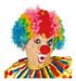 Clown Wig - Large Afro Curls - Costume Party Accessories 0