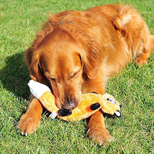 Zippypaws - Zingy Sin Relleno De Peluche Para Perros De Pelu 2