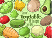 Kits Imprimibles Burbujitas Cliparts Imagenes Png Verduras Vegetales Jk78 0