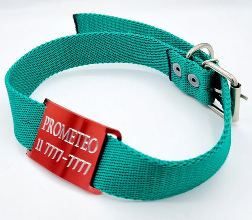 Medallas Para Perros Large Red Passant + Green Collar 3cm 2