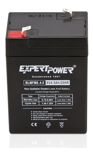 Expertpower Exp645 6v 4.5 Amp Rechargeable 3