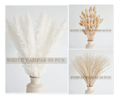 100 Natural Dried Pampas Grass Decor Set 43cm 3