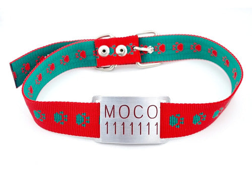 Medallas Para Perros Large Pass Tag + Red Green Paw Print Collar 3cm 0