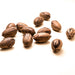 2024 Unpeeled Pecan Nuts Organic from the Delta - 1kg 3