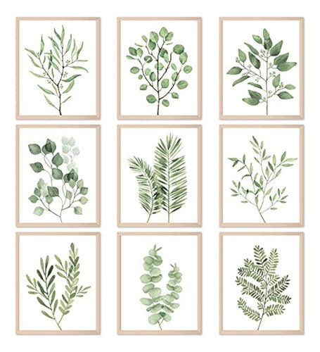 Tevxj 9pcs Botanical Plants Wall Art Prints 0