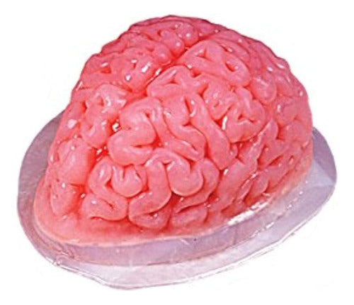 Molde Cerebral De Gelatina Jello 0