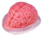 Molde Cerebral De Gelatina Jello 0