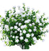 Urstoud 6pcs Artificial Eucalyptus Flowers, Artificial Vegetation 0