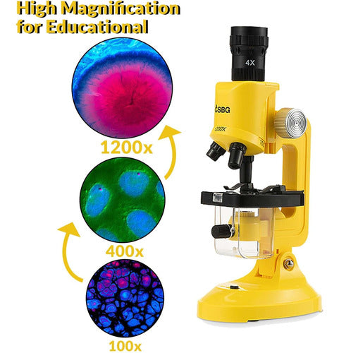 Little World Microscope Beginner with LED, Magnification 100X, 400X, and 1200X 5