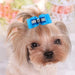 Yoy 24pcs 12 Pairs Adorable Grosgrain Bows for Pets with Elastic Bands 3