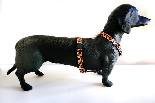 Adjustable Small Size Harness for Small Breeds - Mini Poodles, Dachshunds 17