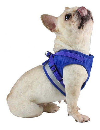 Padded Harness with Leash for Small Dogs and Cats - Various Sizes 5