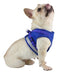 Padded Harness with Leash for Small Dogs and Cats - Various Sizes 5