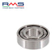 RMS Rodamiento Lado Magneto Primavera N204 1