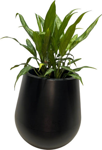 VKV Store Premium Rotomolded Plastic Planter Mate Cup 40cm Smooth 0