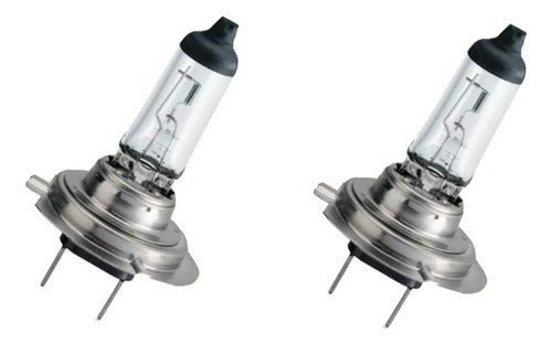 LAM Halogena H7 12V 55W Light for Car Headlight 2