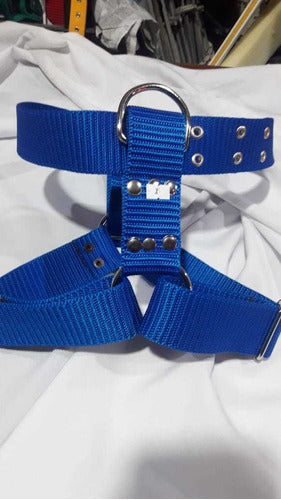 Reinforced Nato Harness for Large Breed Dogs with Leash 1