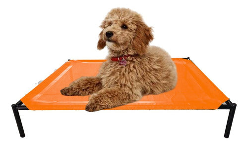 Hilgert Dog Bed Catre Bed Promo 4 Small 60x45 1