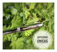 Personalized Engraved Cross Bailey Chrome Rollerball Pen 2
