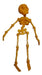 Articulated 3D Skeleton Toy - Choose Your Desired Color 2