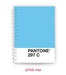 Maguncia Cuaderno A5, Pantone 2