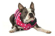 Seachoice Dog Life Jacket 86360 - Adjustable Life Vest 5