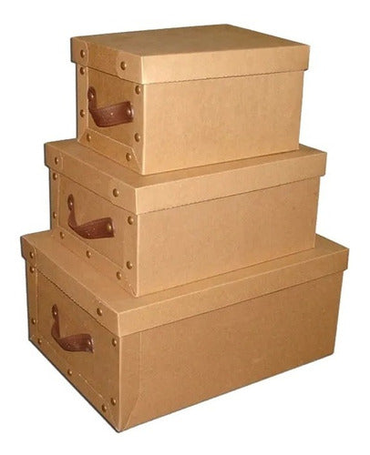 MicroBox Large Kraft Storage Box Online 3