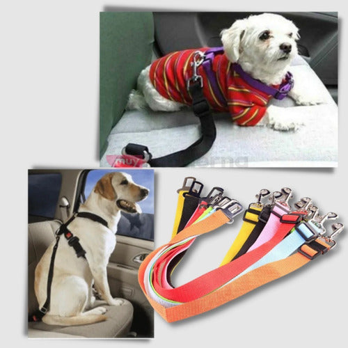 Muymo® Adjustable Dog Seat Belt 3