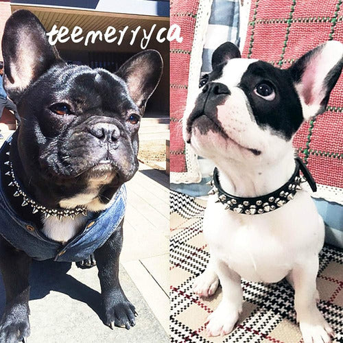 Teemerryca 3 Pack Correa Y Collar Para Perros Juego De Bola 1