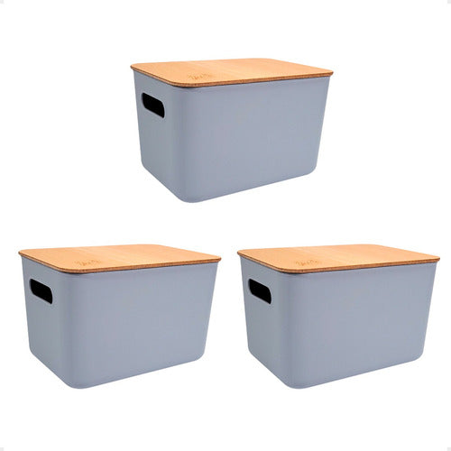 Plásticos Cerri Set X3 Canasto Organizador Plastico C Tapa Apilable 26x18x16 0