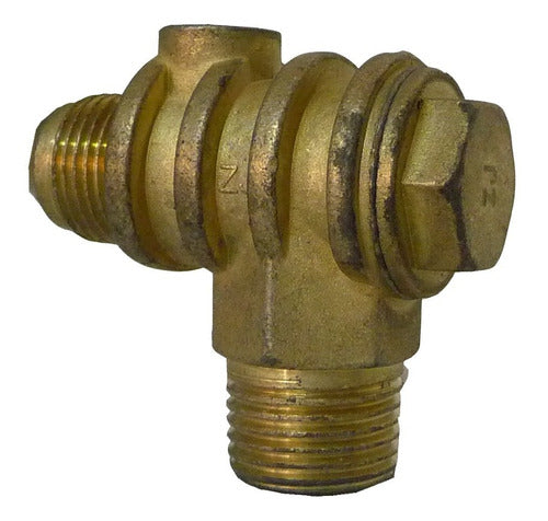 Zebra Piston Compressor Check Valve 2-3-4 HP 1/2 0