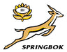 Sports T-Shirt Springboks Training Microfiber Imago 4