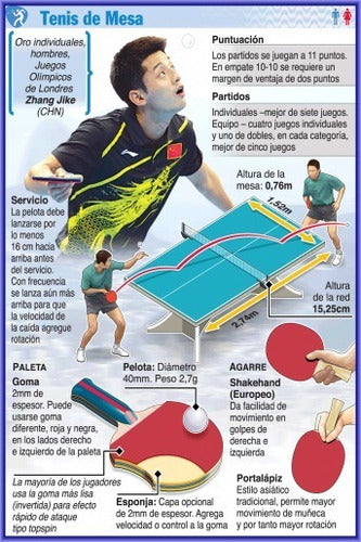 Tenis De Mesa - Deporte Olímpico - Lámina 45x30 Cm. 0