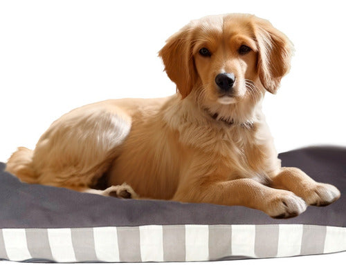 M&C Rectangular Detachable Mattress Bed for Dogs or Cats - Practical 0