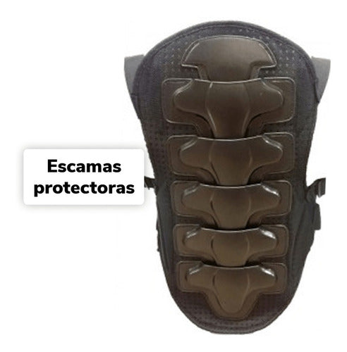 Protector Espinal Cd 325 Cd 2