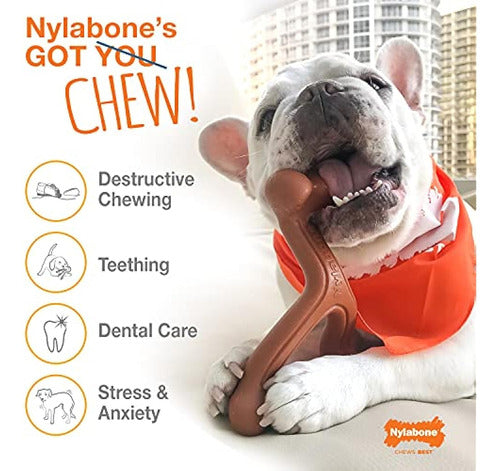 Juguete Texturizado Nylabone Dura Chew, Mantequilla De Maní 0