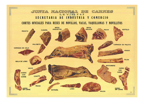 Decorative 70x50cm Vintage Cuts of Beef Poster 0