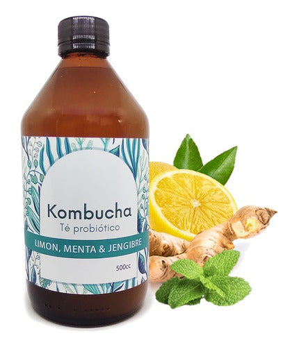 Kombucha - Té Probiótico 500cc 0