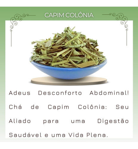 Chá De Capim Colônia-erva Pura De Alta Qualidade 30g 3