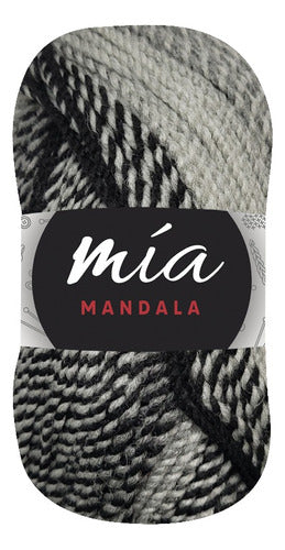 MIA Mandala Variegated Yarn - 5 Skeins of 100g Each 48