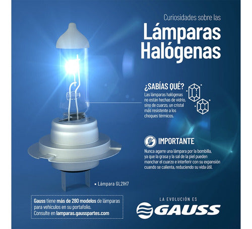 Lampara  H7 12v 55w Azul 5