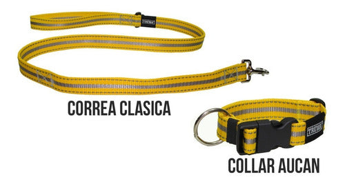 TREWA Combo Collar + Leash - Size S 1